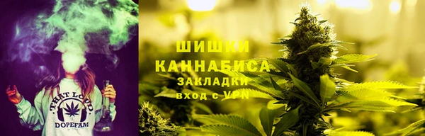 скорость Бородино
