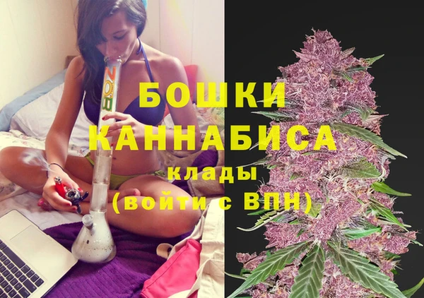 скорость Бородино
